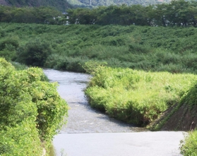武庫川と山田川の合流点。１９３０年代に雨乞いの祈とうが執り行われた＝三田市下田中