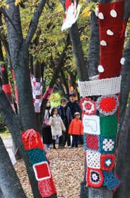 色とりどりの毛編み物で飾られたケヤキ＝芦屋市総合公園