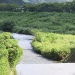武庫川と山田川の合流点。１９３０年代に雨乞いの祈とうが執り行われた＝三田市下田中