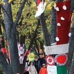 色とりどりの毛編み物で飾られたケヤキ＝芦屋市総合公園