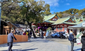 大きなクスノキ