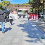 脚力試される直線福男道