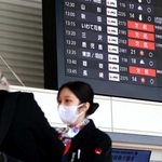 雪の影響による欠航が表示された掲示板＝２５日午前、伊丹空港
