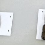 鉄の生産工房だったとみられる建物跡から見つかった古墳時代後期の鉄製品。左は矢尻、右は何らかの武器の切っ先とみられる＝兵庫県西宮市、津門大塚町遺跡