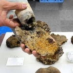 古墳時代中期ー後期の建物跡で見つかった鉄生産の名残。手に持っているのはふいごから風を送り込んだ土製の管「羽口」と精錬時に生じる不純物の鉄滓（てっさい）。手前右は砥石（といし）＝津門大塚町遺跡