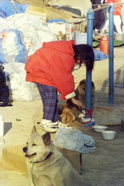 避難所のグラウンドにつないだペットの犬を世話する被災者＝１９９５年２月、神戸市東灘区