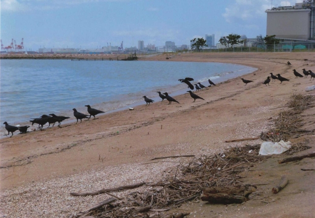 田端良守さんの作品「集まる場所」（出光興産提供）
