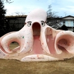 半世紀以上、子どもたちを見守ってきたタコ公園のタコ遊具＝川西市向陽台１