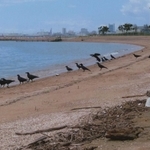 田端良守さんの作品「集まる場所」（出光興産提供）