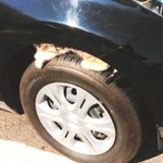 タイヤの上で寝るネコ。ここからエンジンルームへ向かうケースが多い（日産自動車提供）