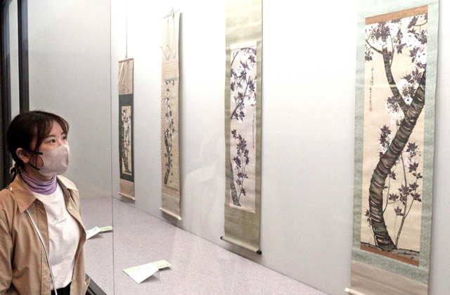 江戸期の桜画「満開」150点 桜のみ描いた三熊派中心に、桜博士・笹部 江戸期の桜画「満開」150点 桜のみ描いた三熊派中心に、桜博士・笹部