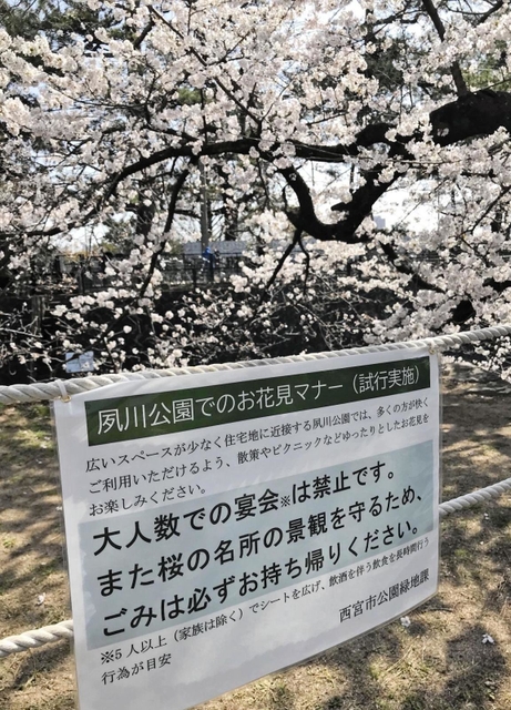 大人数の宴会禁止が呼びかけられている夙川公園＝西宮市羽衣町（撮影・中川　恵）