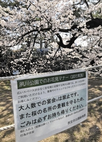 大人数の宴会禁止が呼びかけられている夙川公園＝西宮市羽衣町（撮影・中川　恵）