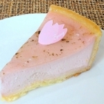 桜チーズケーキ