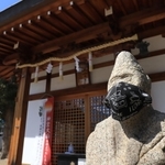 マスク着用を続けるお猿さん＝芦屋市津知町