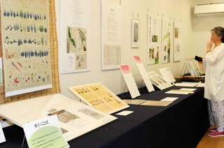 会場では、牧野富太郎が描いた植物図や名付けた植物が展示されている＝上坂部西公園