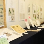 会場では、牧野富太郎が描いた植物図や名付けた植物が展示されている＝上坂部西公園