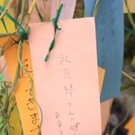 宝塚歌劇のファンが書いた願い事＝宝塚市栄町２、ソリオ宝塚（撮影・吉田敦史）