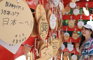 阪神の「アレ」を願って書かれた絵馬＝西宮市甲子園町、甲子園素盞嗚神社