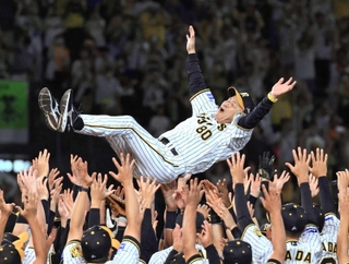 胴上げされる岡田監督＝９月１４日、甲子園球場（撮影・鈴木雅之）
