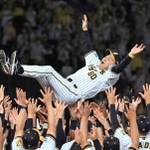 胴上げされる岡田監督＝９月１４日、甲子園球場（撮影・鈴木雅之）