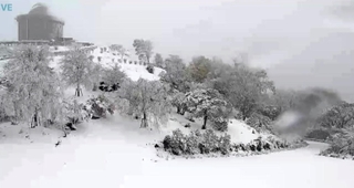 初雪が確認された大野アルプスランドのライブ映像＝猪名川町柏原、１３日午前７時半ごろ（猪名川町提供）