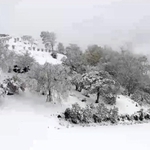 初雪が確認された大野アルプスランドのライブ映像＝猪名川町柏原、１３日午前７時半ごろ（猪名川町提供）