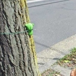 ぬいぐるみの善意のはやにえ。「このやり方はいかがなものか」と吉永さん（吉永さん提供）