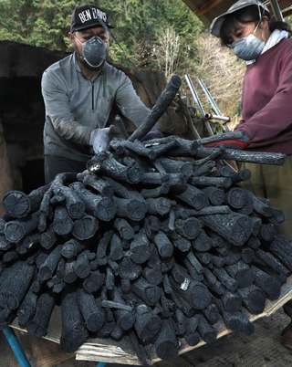窯から運び出される一庫炭＝６日午前、川西市黒川