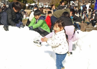 香美町から運ばれた雪で遊ぶ子どもら＝尼崎市口田中１