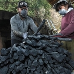 窯から運び出される一庫炭＝６日午前、川西市黒川