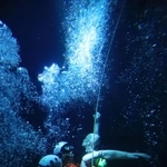 真っ暗な水中で訓練する救助隊員たち。海では濁りのため、ライトを使ってもほとんど見通せないという＝西宮市津門大塚町、西宮市消防署