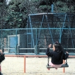 初代の「猿の檻」。村上春樹さんの作品に登場する公園のモデルとされる（１９８８年４月の「広報あしや」より）
