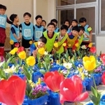 富山から届いた球根で育ったチューリップとスポーツクラブ２１安井の子どもたち＝西宮市安井町（ヤングネットワークとやま提供）