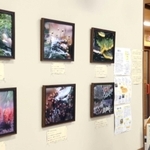 さまざまな粘菌を撮影した写真が並ぶ会場＝西宮市北山緑化植物園