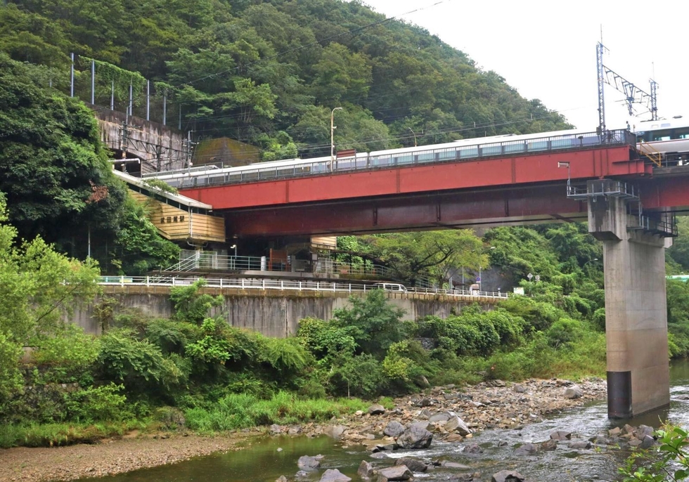 a_18065333.jpg