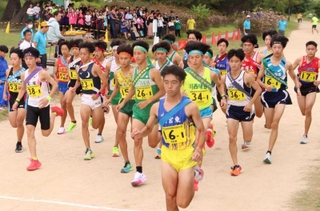 一斉に走り出す男子１区の選手たち＝西宮市の武庫川河川敷