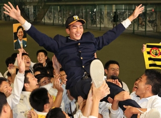 阪神から２位指名を受け、報徳高の仲間に胴上げで祝福される今朝丸裕喜投手＝24日午後、西宮市の同校（撮影・吉田敦史）