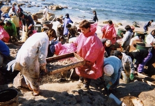 重油が流れ着いた海岸で除去作業に励むボランティアら（ＮＶＮＡＤ提供）