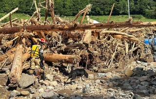 ２０２４年９月の能登半島豪雨災害の被災地で行方不明者を探すカミーノ（日本レスキュー協会提供）