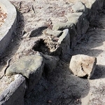 落下した芦原公園の石積み。男児が指にけがを負った（尼崎市提供）