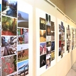「道」をテーマにした写真を集めた共同作品＝神戸市灘区原田通３