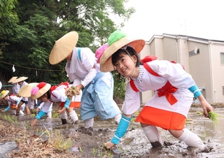 早乙女姿で御饌田に稲の苗を植える子どもら＝西宮市大社町
