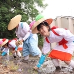 早乙女姿で御饌田に稲の苗を植える子どもら＝西宮市大社町