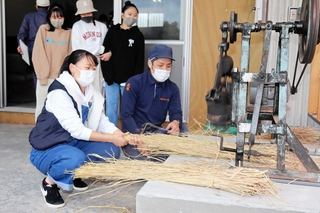初めての菰づくりを体験する生徒ら＝神戸市北区大沢町