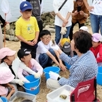 「浜・川・山の自然たんけん隊」副代表の大谷洋子さん（右手前）から、見つけたカニの話を聞く参加者＝西宮市西波止町