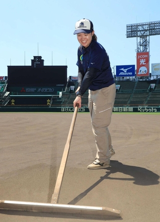 とんぼを使って整地する石躍奈々さん＝西宮市甲子園町、甲子園球場（撮影・吉田敦史）