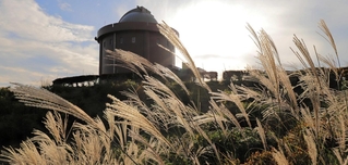 阪神地域最高峰の大野山山頂。天文台周辺にススキの穂がたなびく＝猪名川町柏原