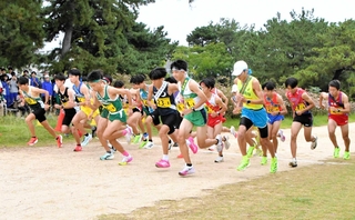 一斉に走り出す男子１区の選手たち＝西宮市の武庫川河川敷