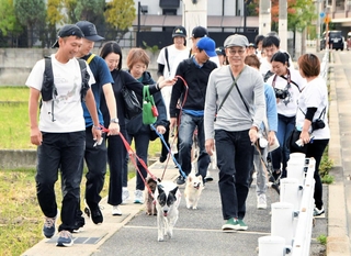 志水直樹さん（手前左）の誘導を受けて犬と一緒に散歩する参加者ら＝西宮市段上町周辺